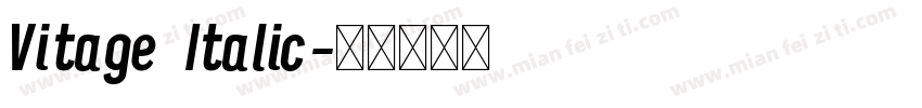 Vitage Italic字体转换